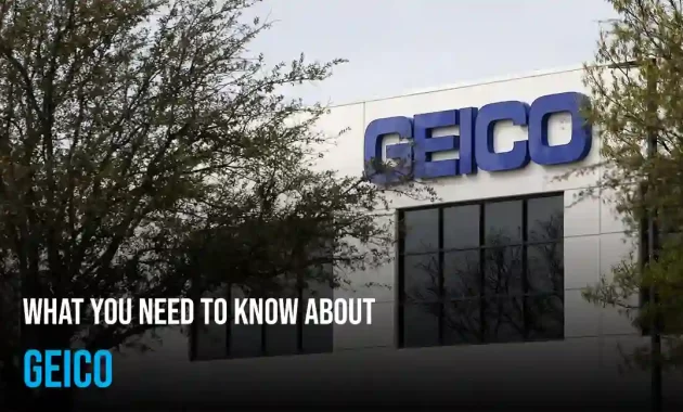 What We Need to Know About Geico Auto Insurance