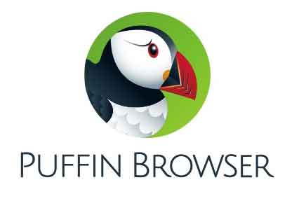 Puffin Browser mengklaim semua data dienkripsi dari server secara aman, tetapi Anda masih rentan terhadap serangan. Puffin Browser juga tidak menawarkan pengaturan privasi yang kuat seperti yang ada di VPN. Fokus utamanya adalah kecepatan. Akibatnya, situs web dan pelacak akan dapat mengakses banyak informasi berdasarkan aktivitas penelusuran Anda, termasuk alamat IP Anda.