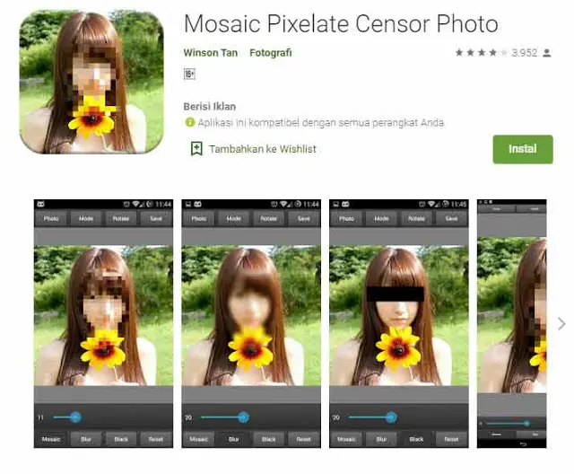mosaic pixelate censor photo