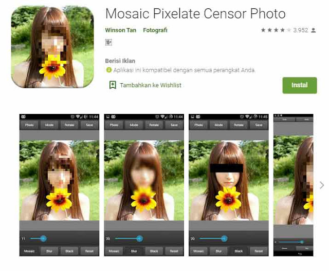 mosaic pixelate censor photo