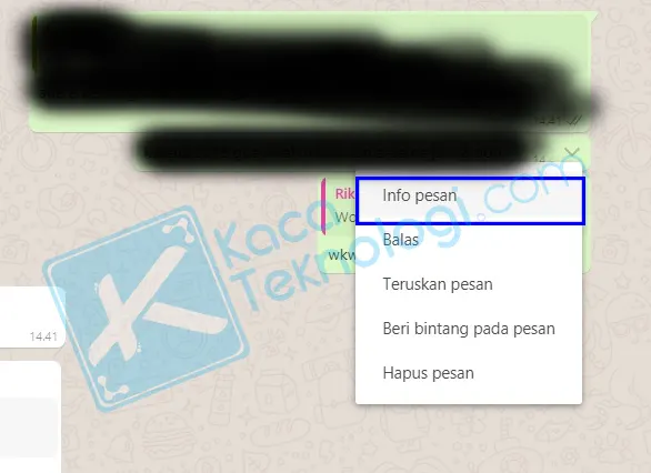 cara mengetahui pesan whatsapp kamu dibaca meski centang biru dimatikan