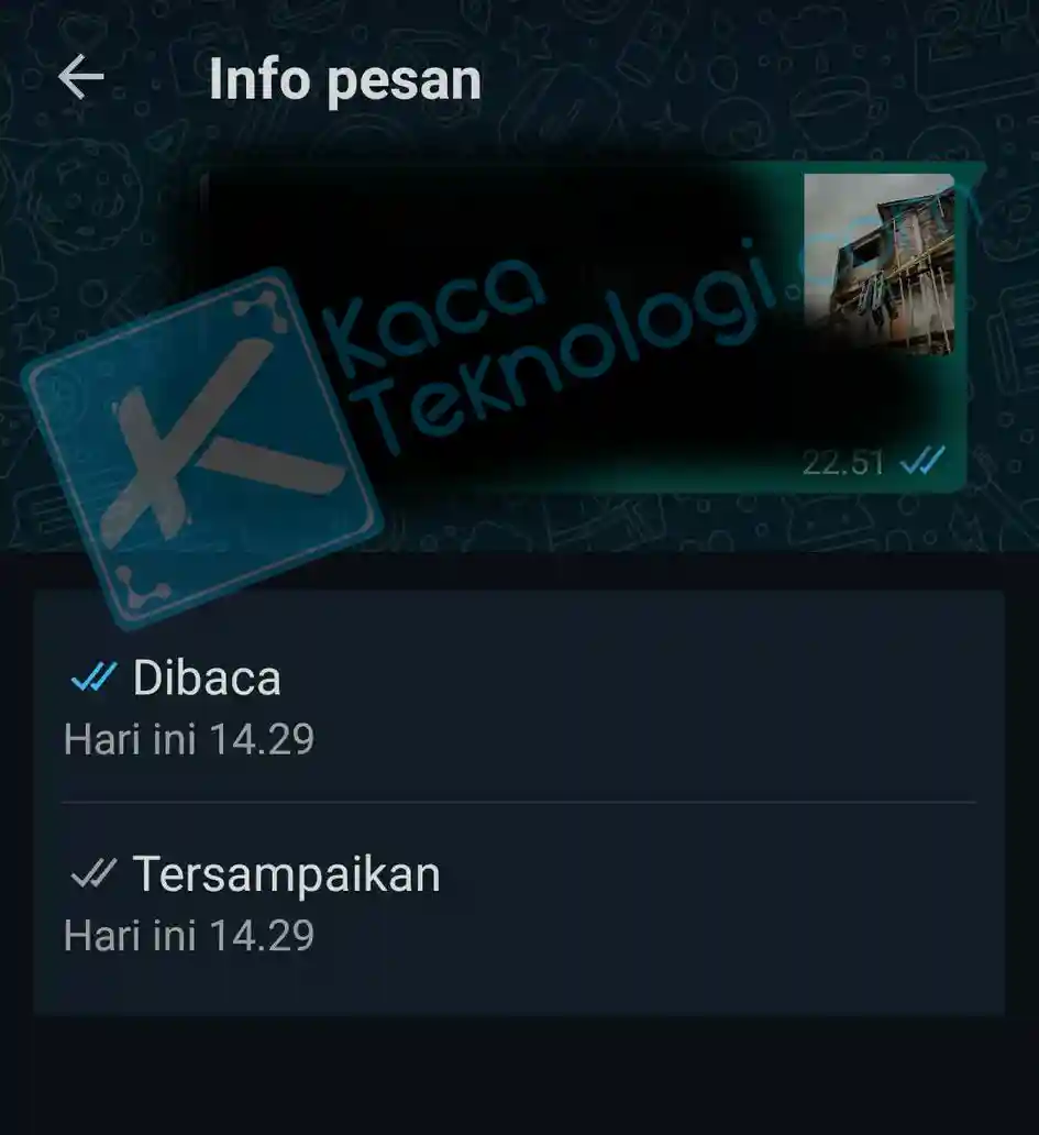 2 Langkah Mengetahui Kapan Pesan Dibaca di Aplikasi WhatsApp