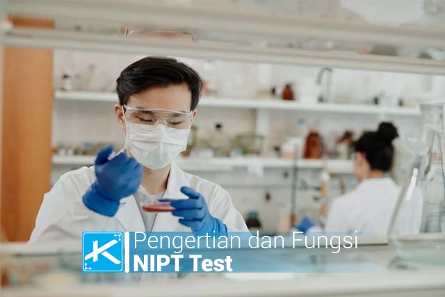 pengertian dan fungsi nipt test